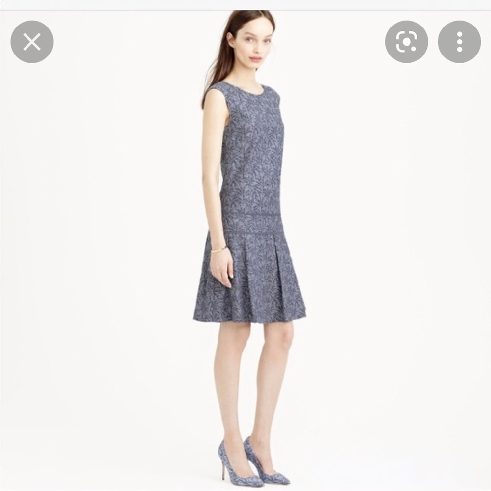 Jcrew Dropwaist Dress